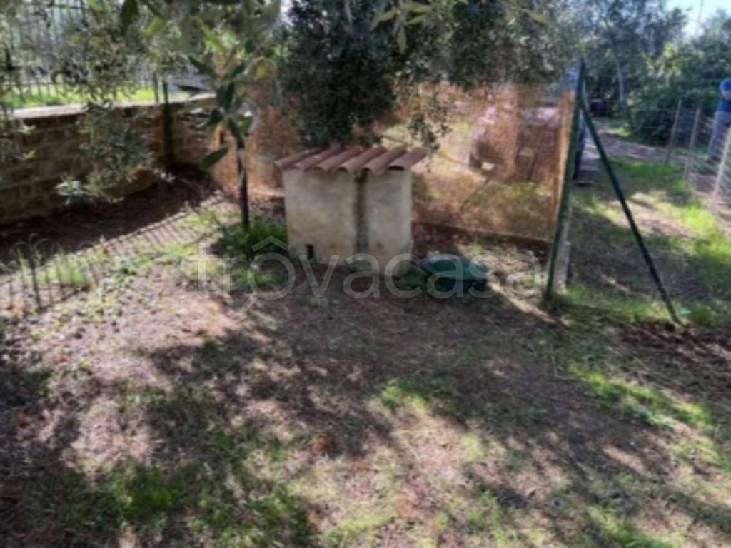 immagine annuncio 9 di 11