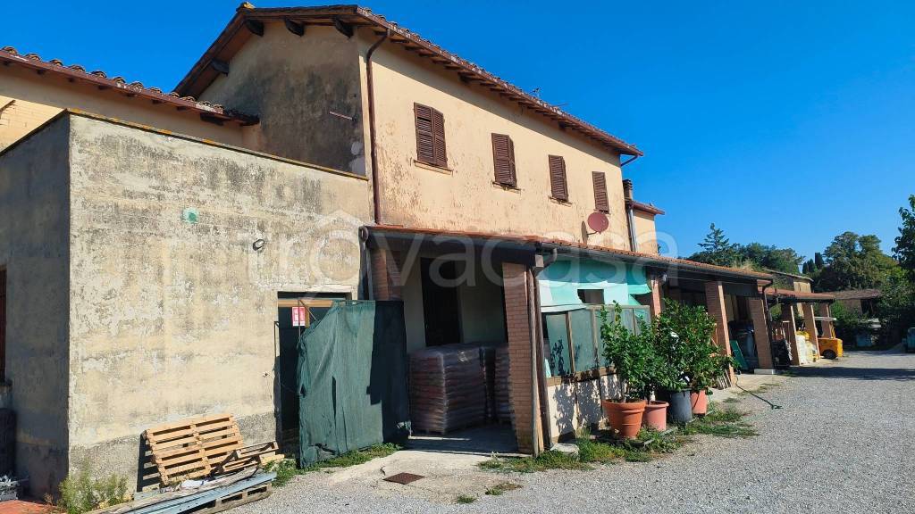 immagine annuncio 3 di 4