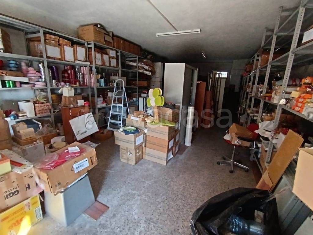 immagine annuncio 9 di 14