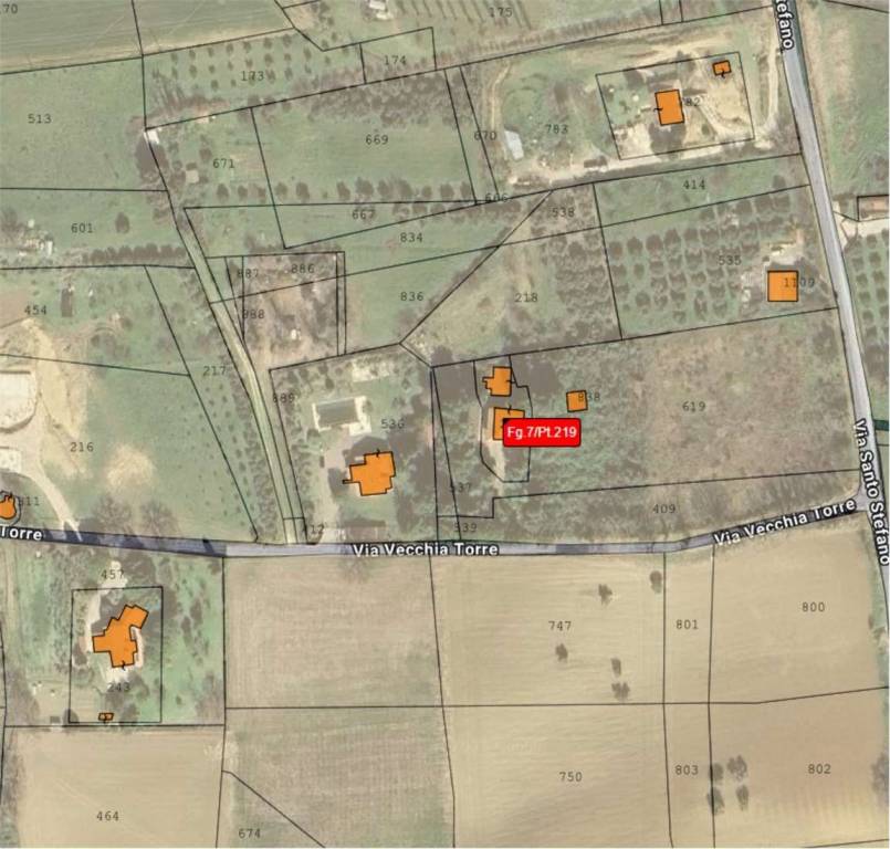 immagine annuncio 13 di 14