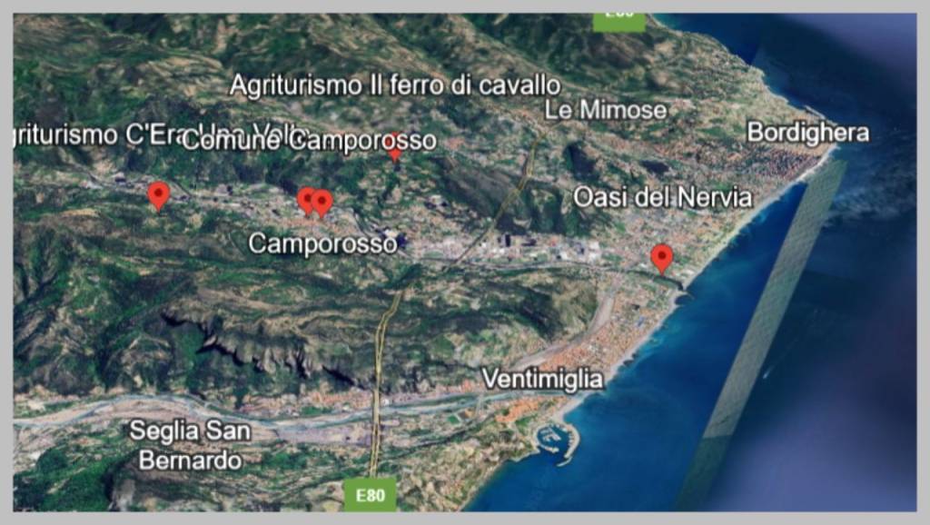 immagine annuncio 11 di 15