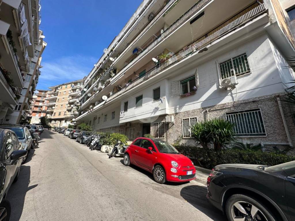 immagine annuncio 5 di 14
