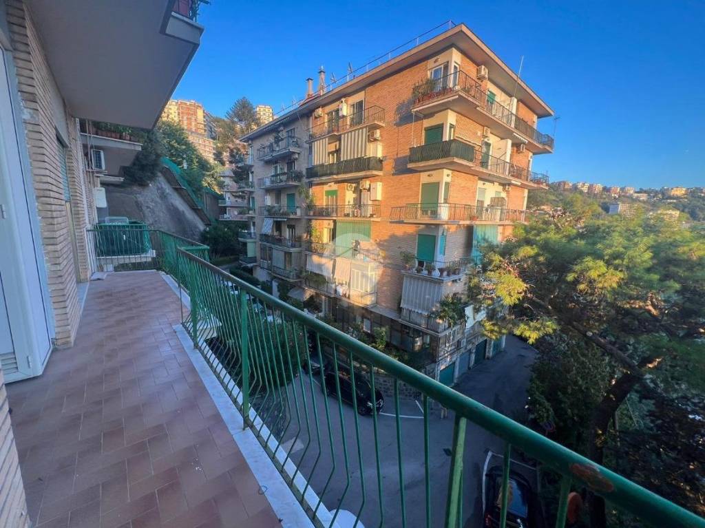 immagine annuncio 8 di 14