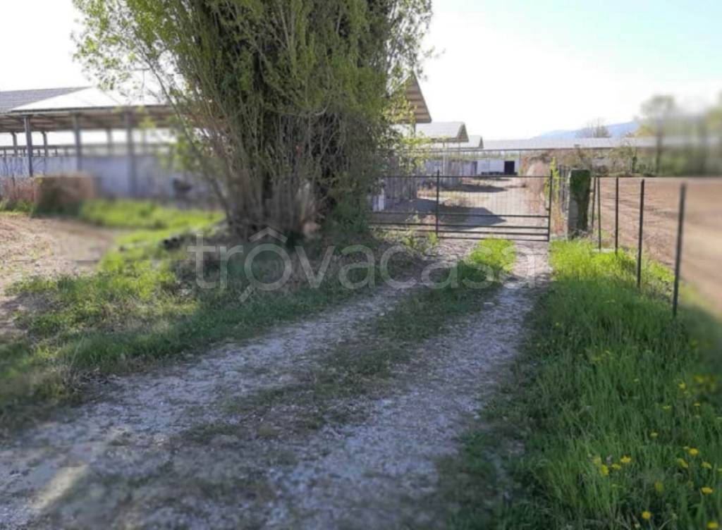 immagine annuncio 4 di 13