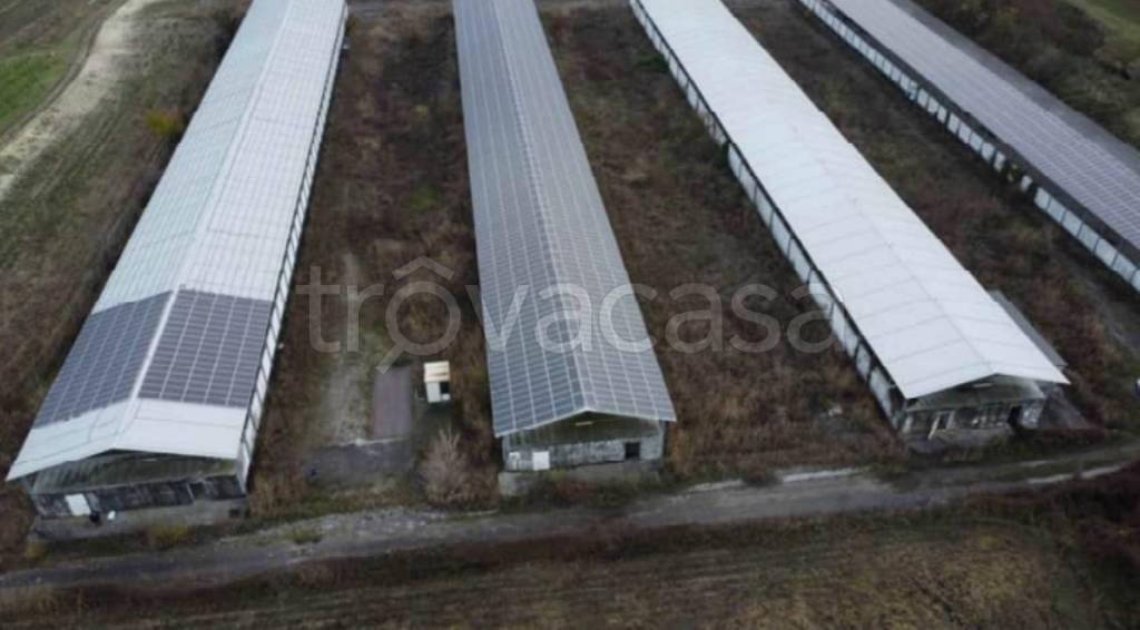 immagine annuncio 5 di 13