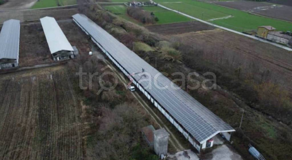 immagine annuncio 6 di 13