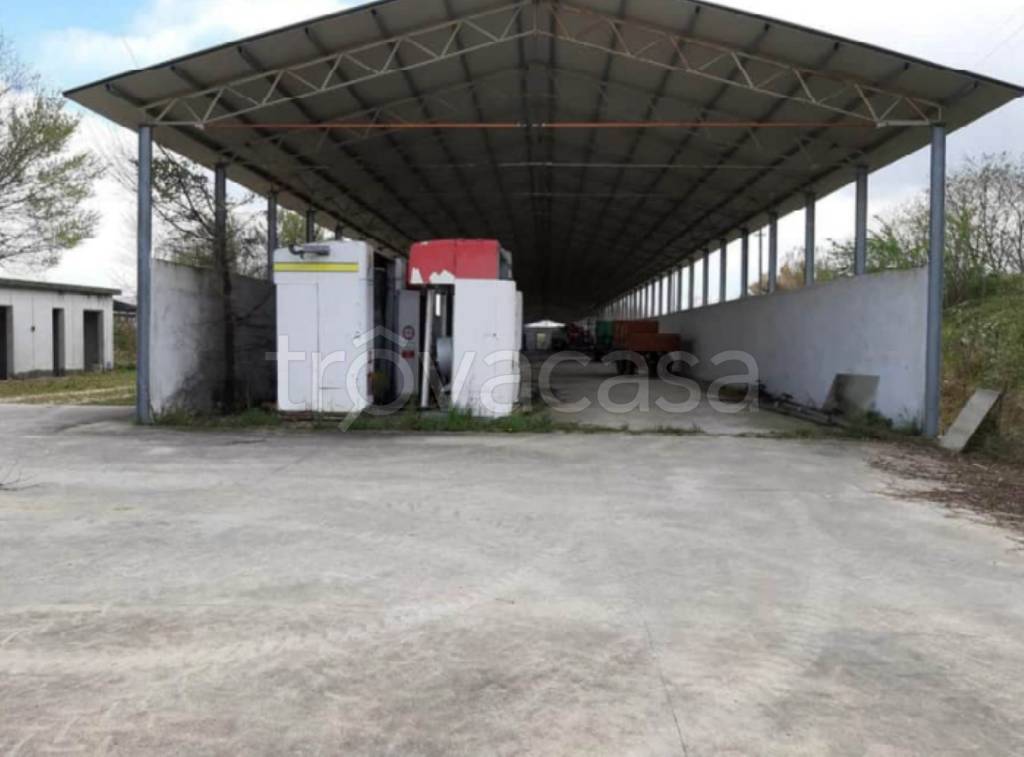 immagine annuncio 8 di 13