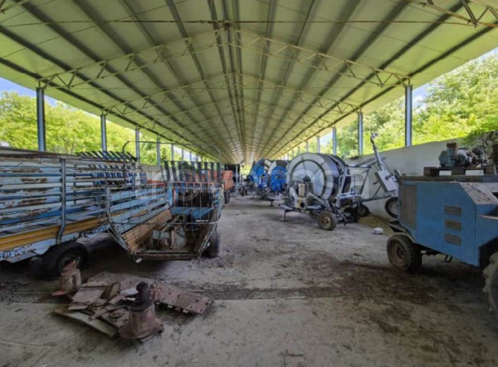 immagine annuncio 9 di 13