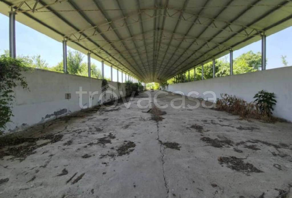 immagine annuncio 11 di 13