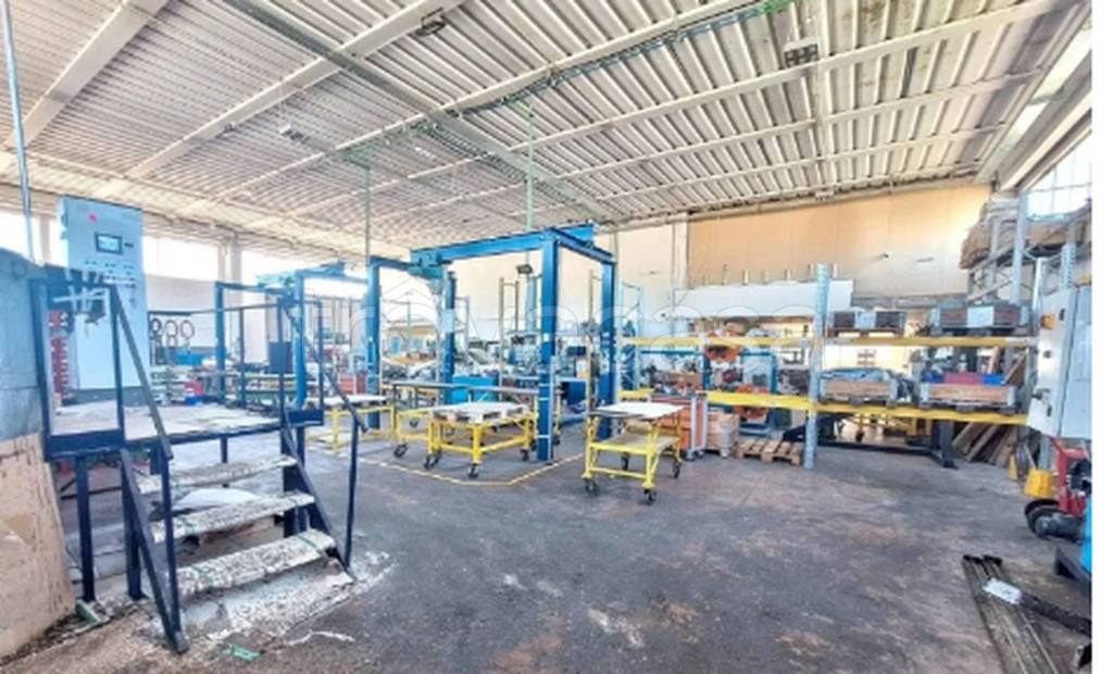 immagine annuncio 9 di 10