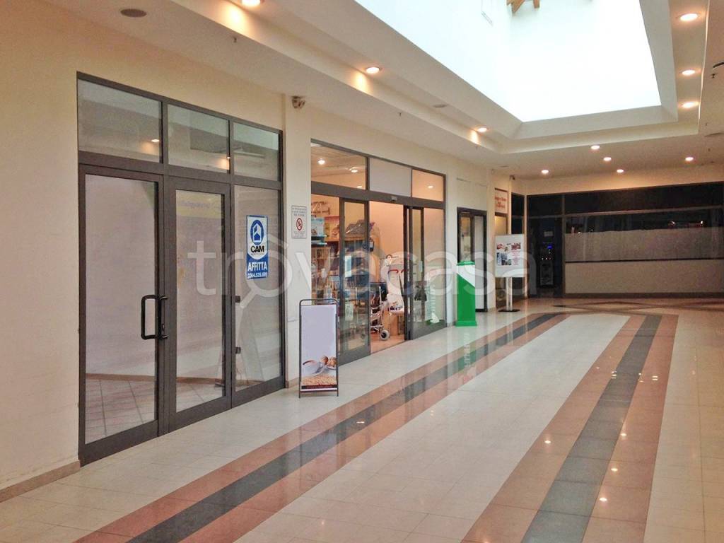 immagine annuncio 2 di 4