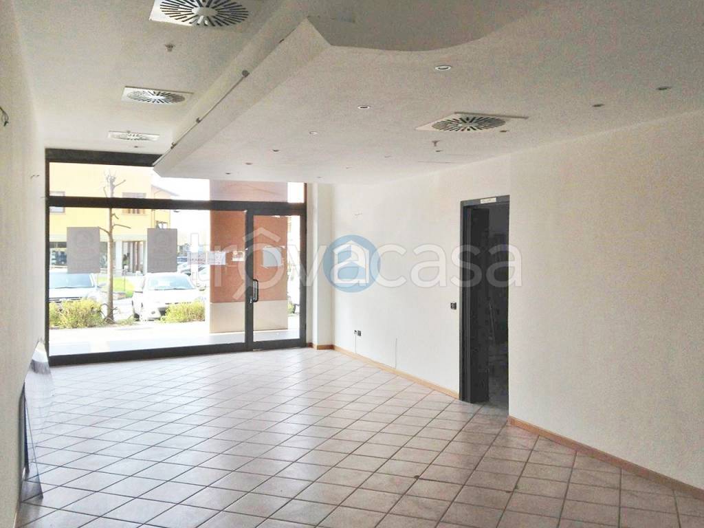 immagine annuncio 3 di 4