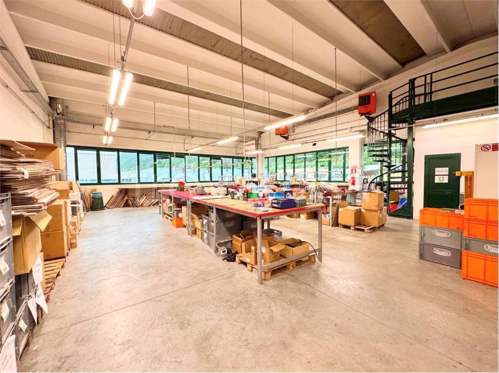 immagine annuncio 1 di 13