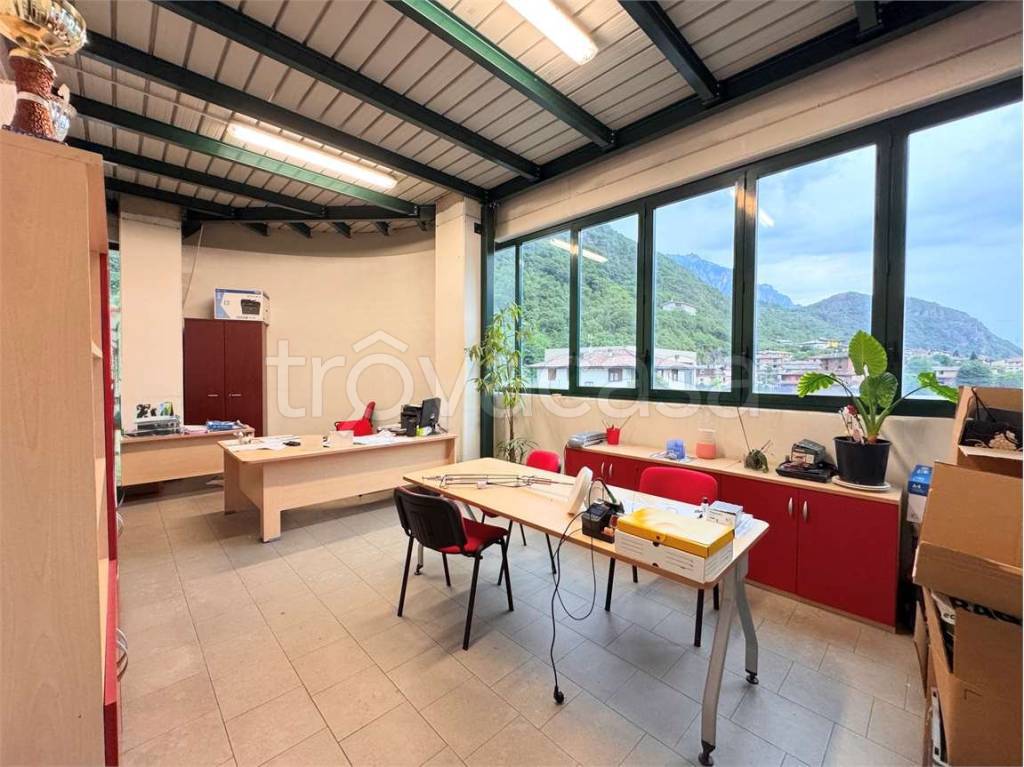 immagine annuncio 3 di 13