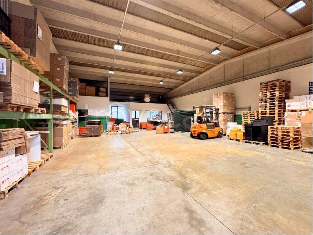 immagine annuncio 11 di 13