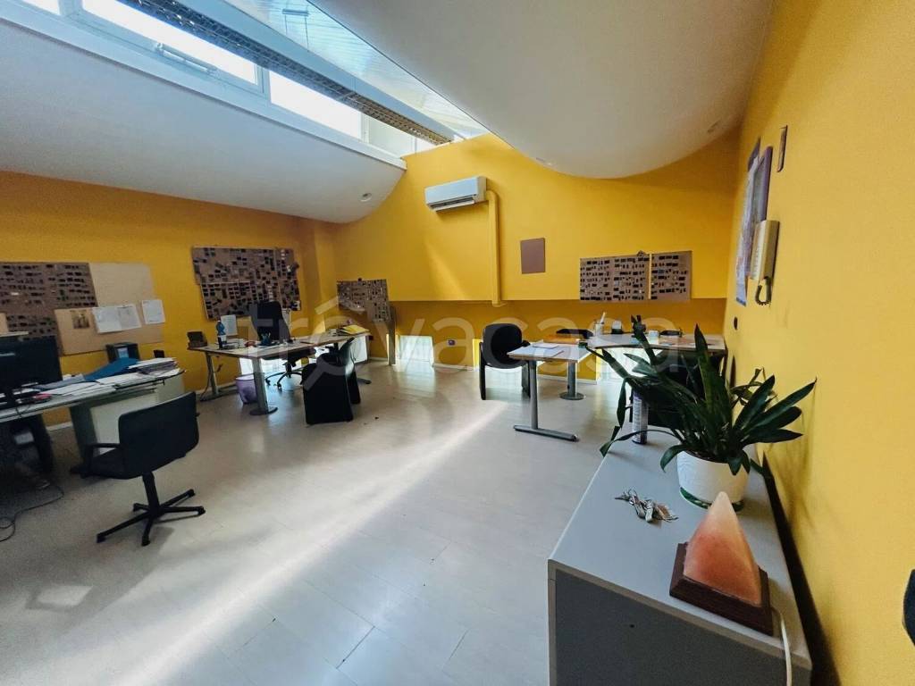 immagine annuncio 6 di 14
