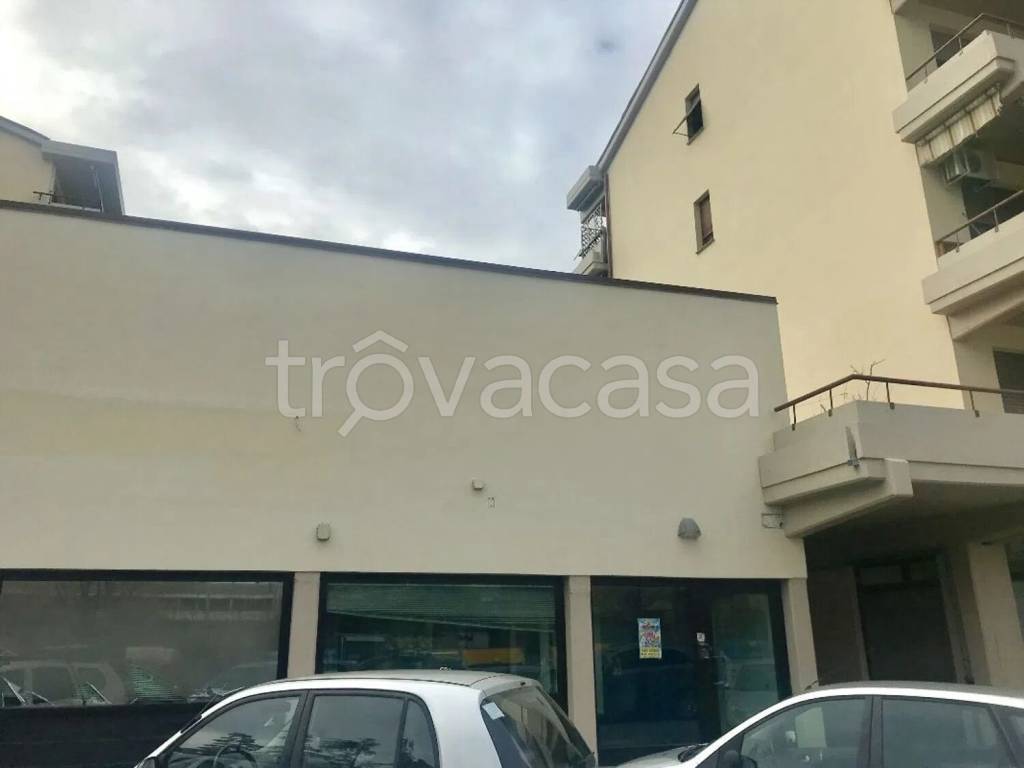 immagine annuncio 11 di 12