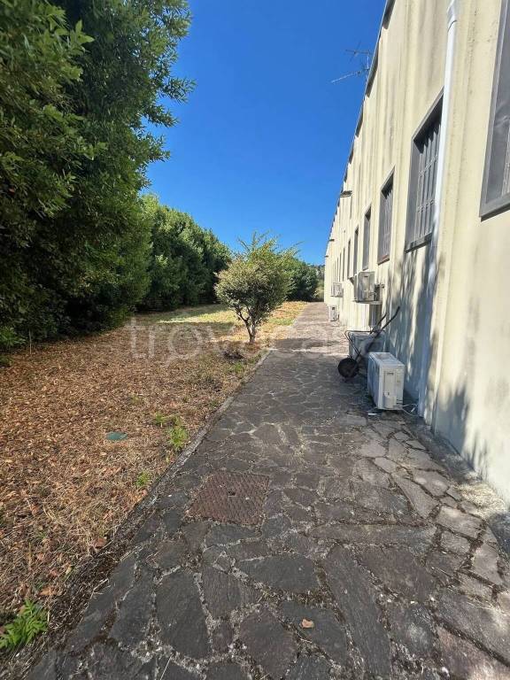 immagine annuncio 8 di 14