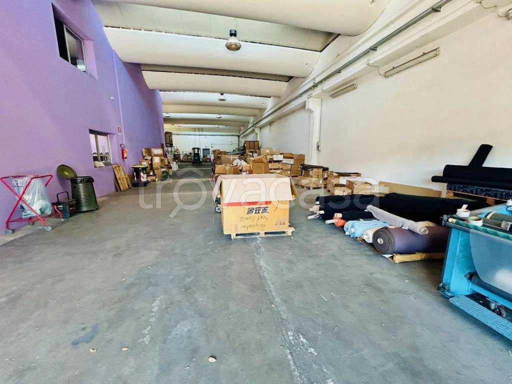 immagine annuncio 9 di 14