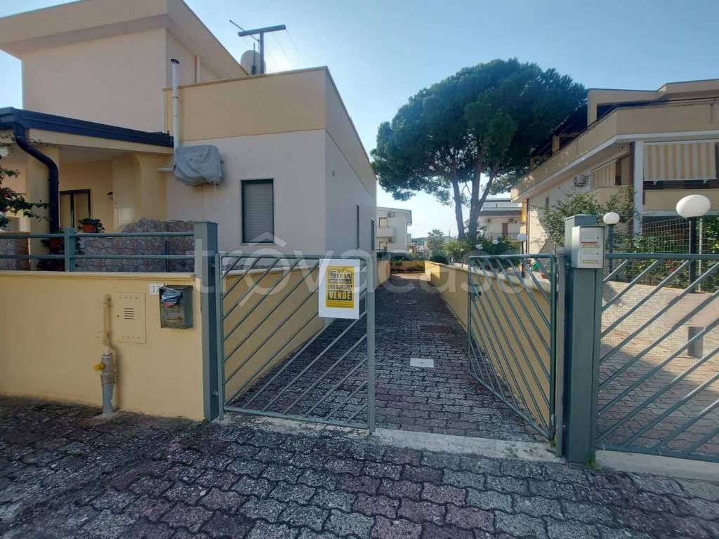 immagine annuncio 10 di 11
