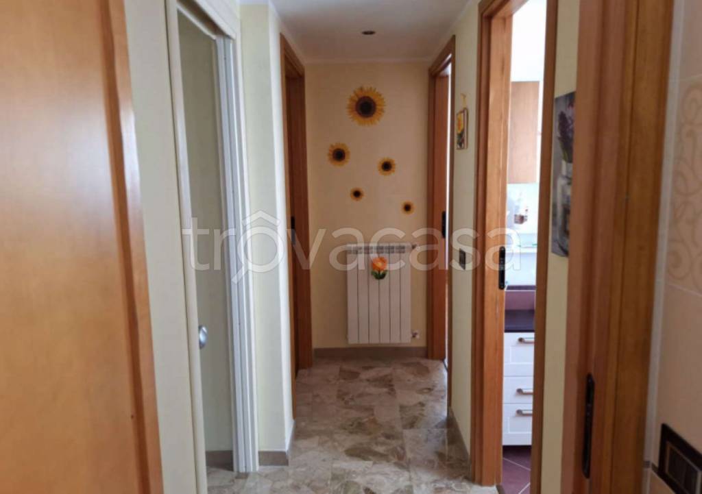 immagine annuncio 6 di 14