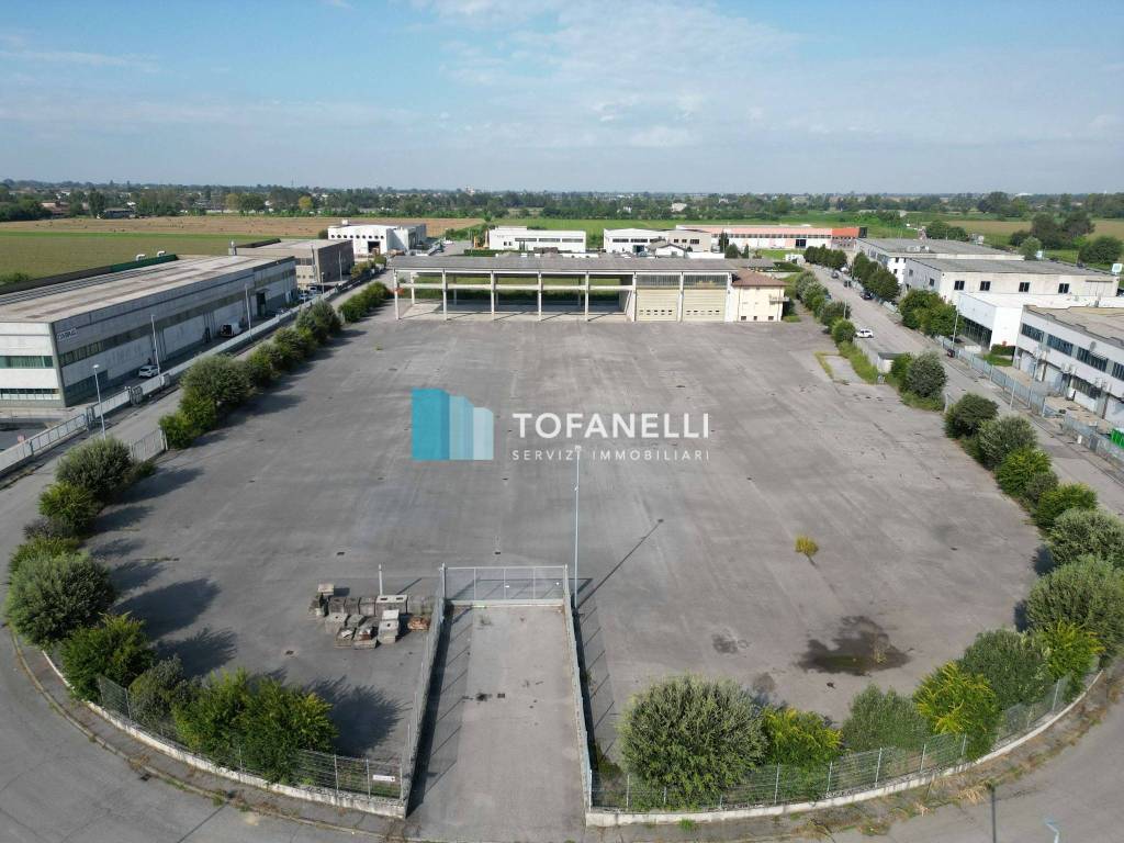 immagine annuncio 11 di 14