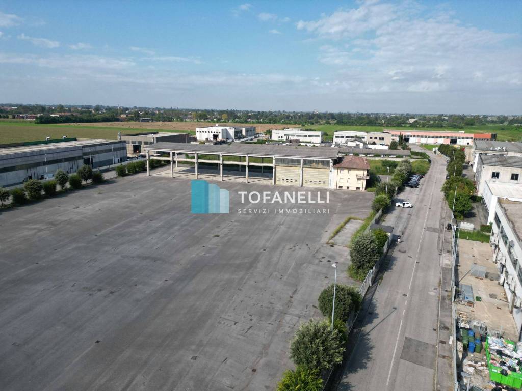 immagine annuncio 12 di 14