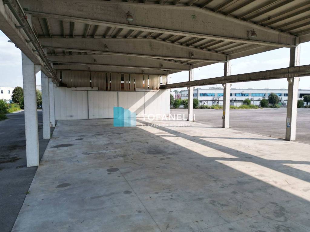 immagine annuncio 7 di 14