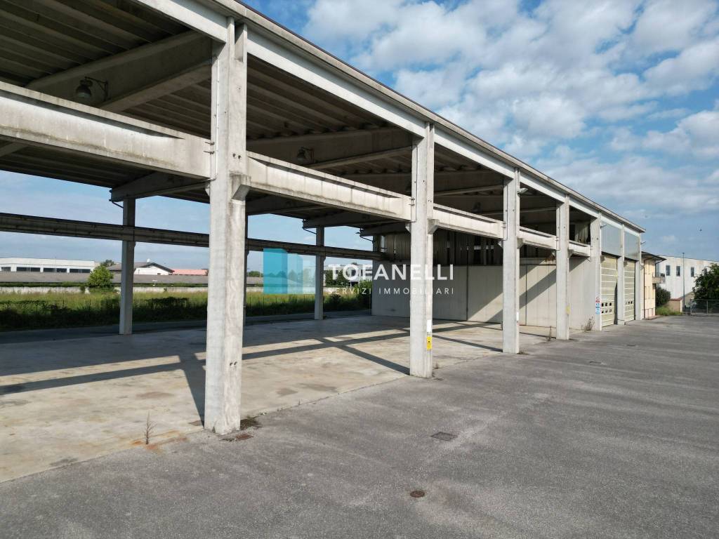 immagine annuncio 4 di 14