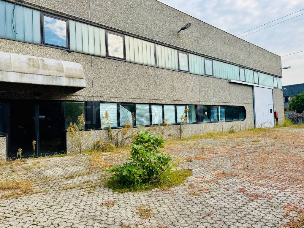 immagine annuncio 14 di 15