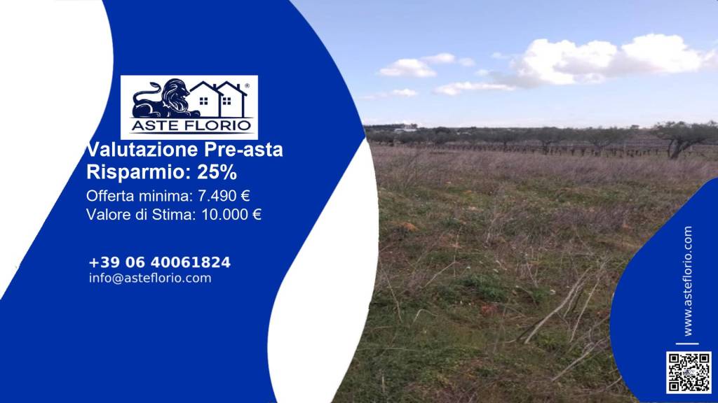 immagine annuncio 1 di 13