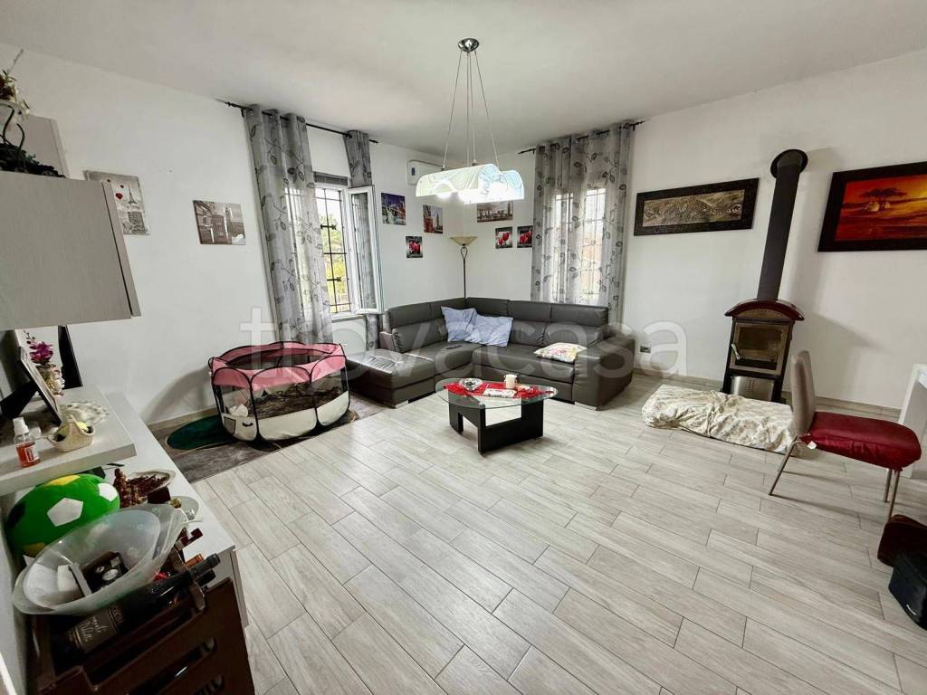 immagine annuncio 9 di 15