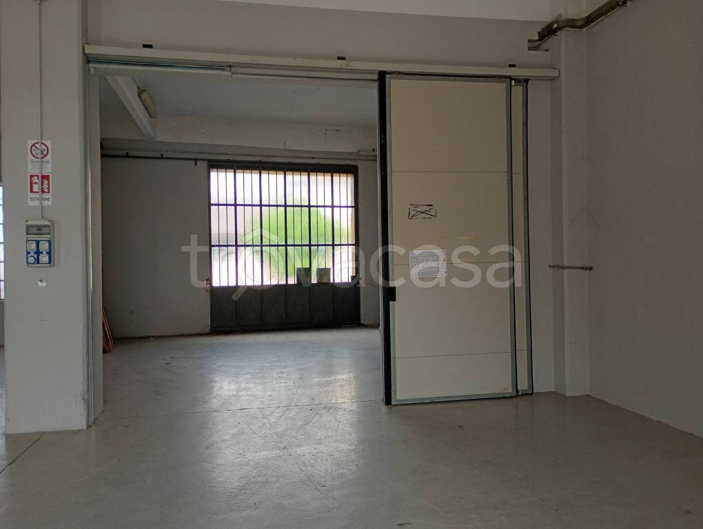 immagine annuncio 4 di 7