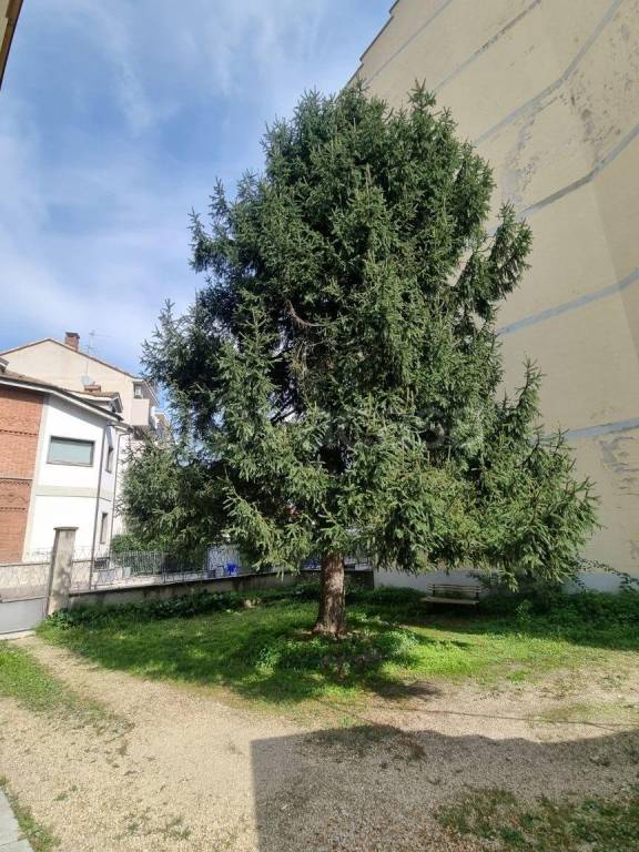 immagine annuncio 10 di 12