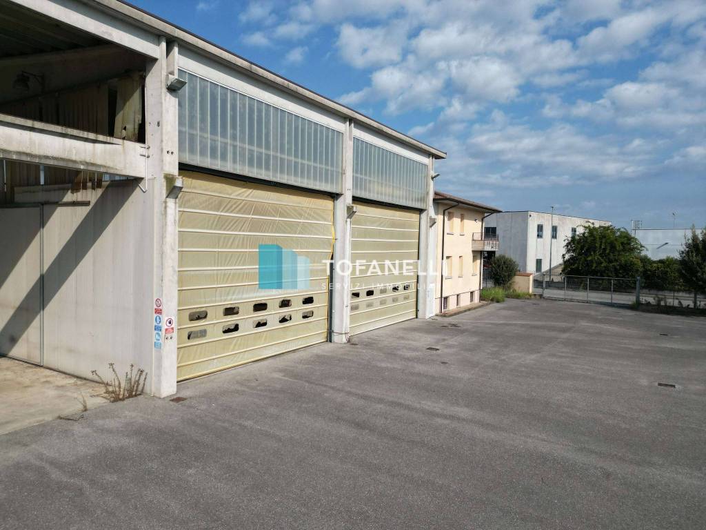 immagine annuncio 10 di 14