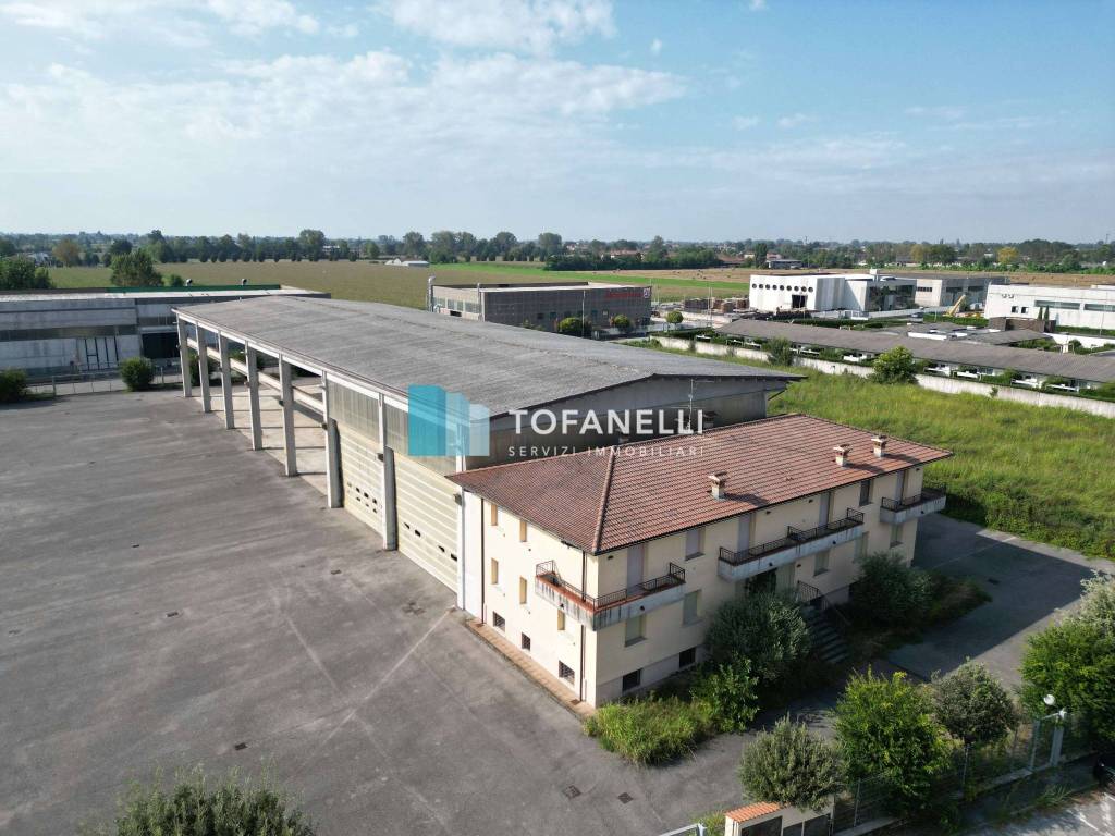 immagine annuncio 12 di 14