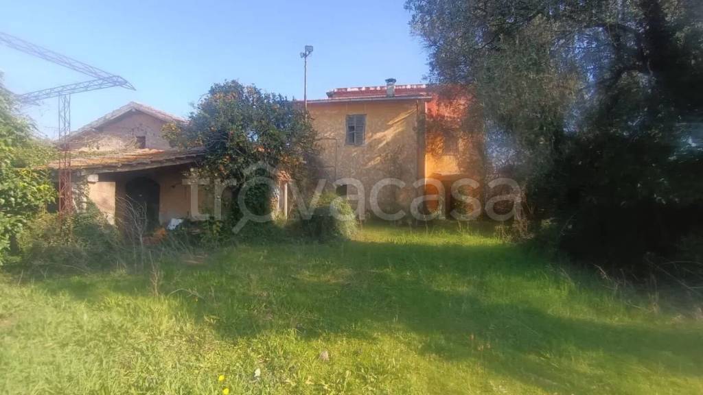 immagine annuncio 1 di 9