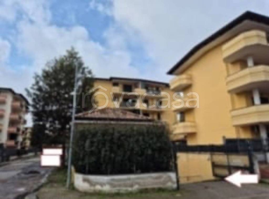 immagine annuncio 10 di 13