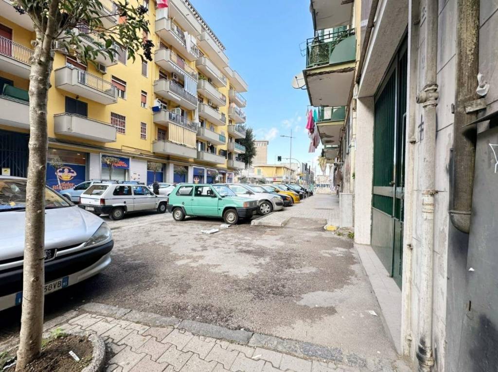 immagine annuncio 1 di 4