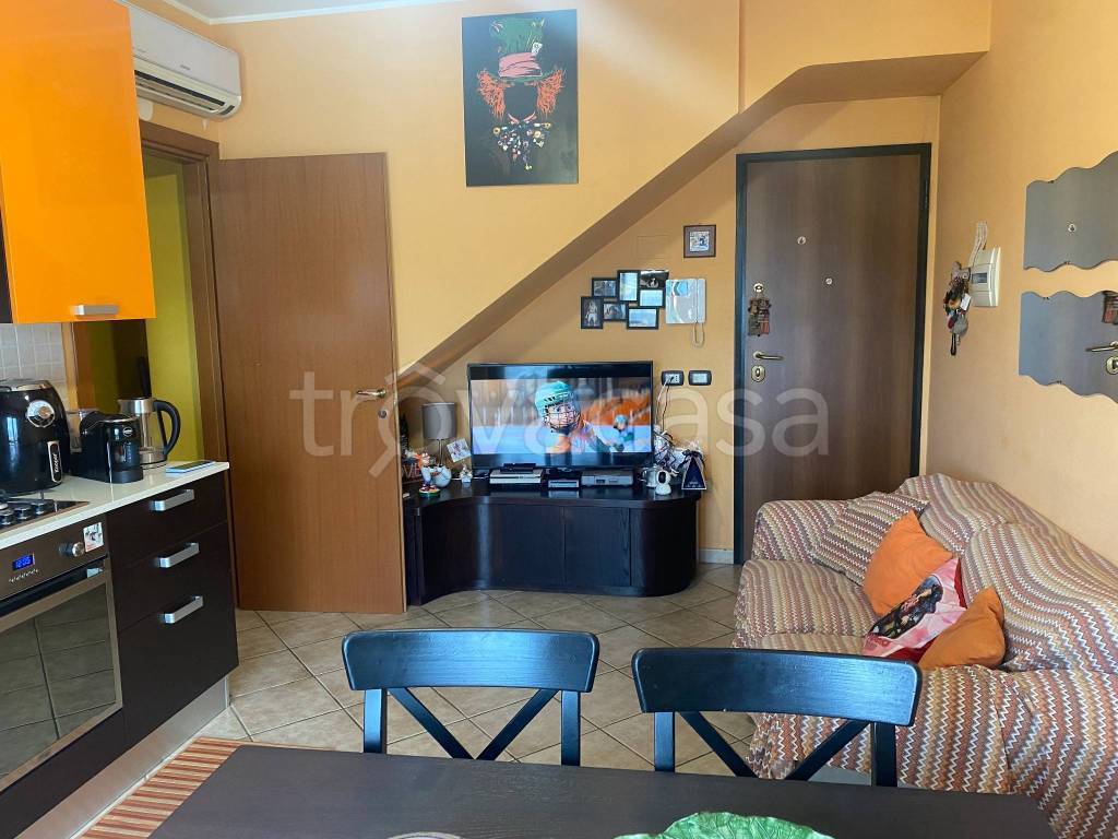 immagine annuncio 9 di 15