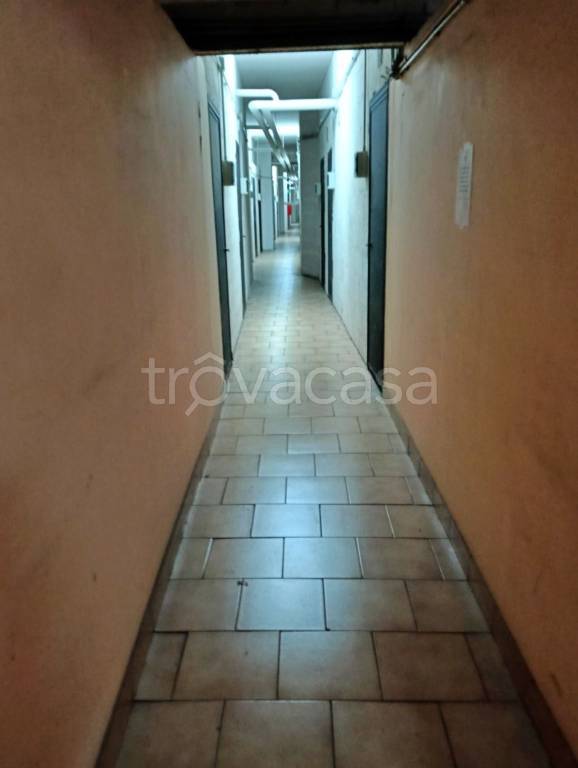 immagine annuncio 7 di 13