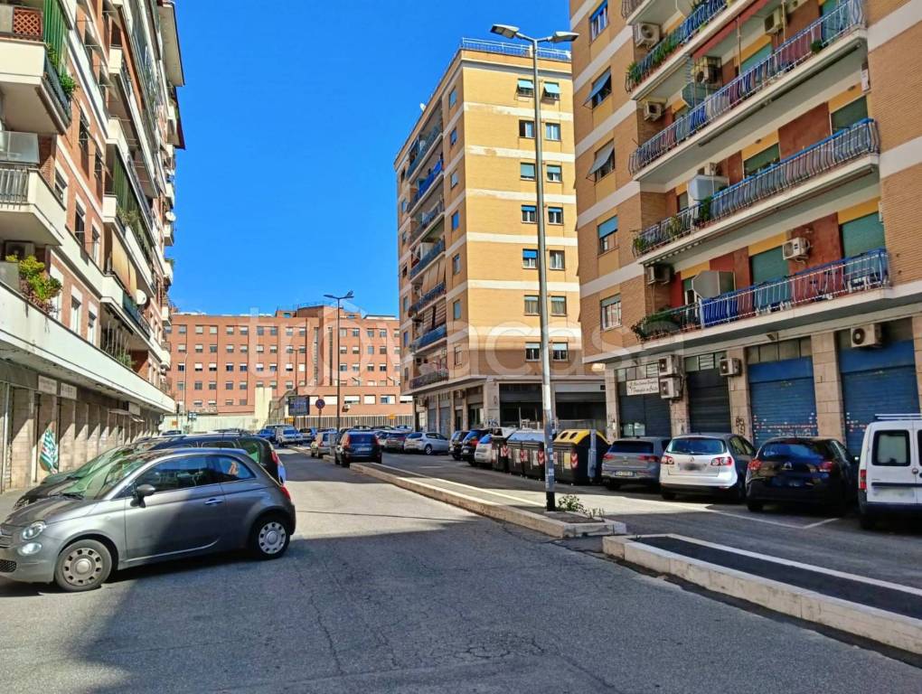 immagine annuncio 12 di 13