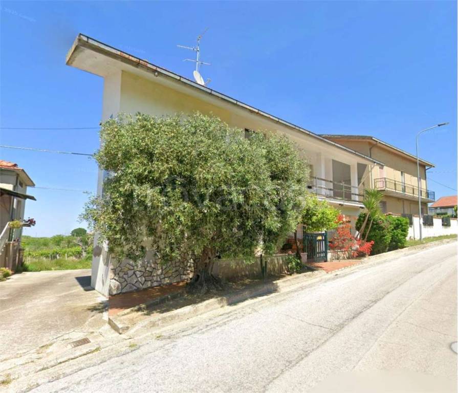 immagine annuncio 6 di 12