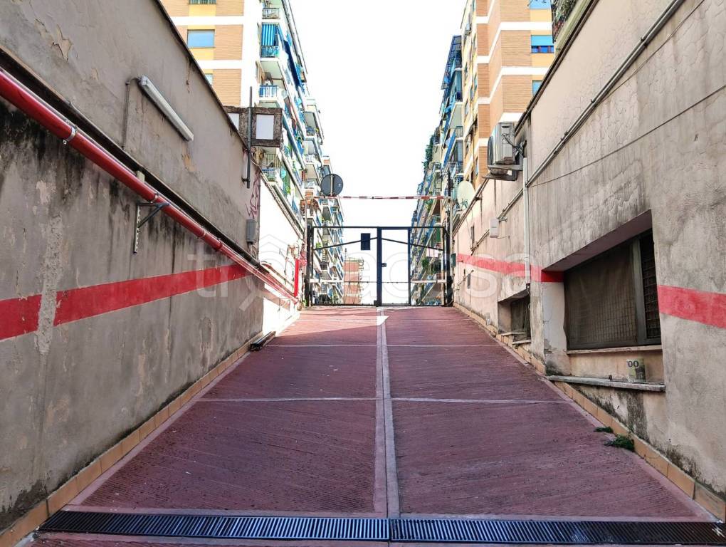 immagine annuncio 9 di 13