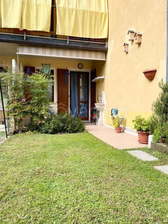 immagine annuncio 9 di 15