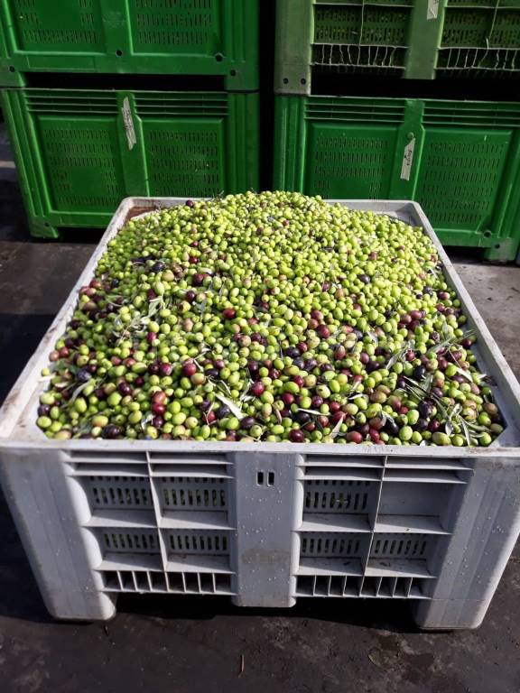 immagine annuncio 7 di 11