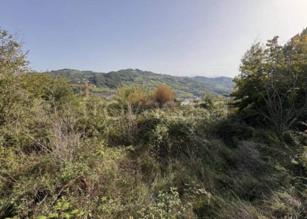 immagine annuncio 4 di 12