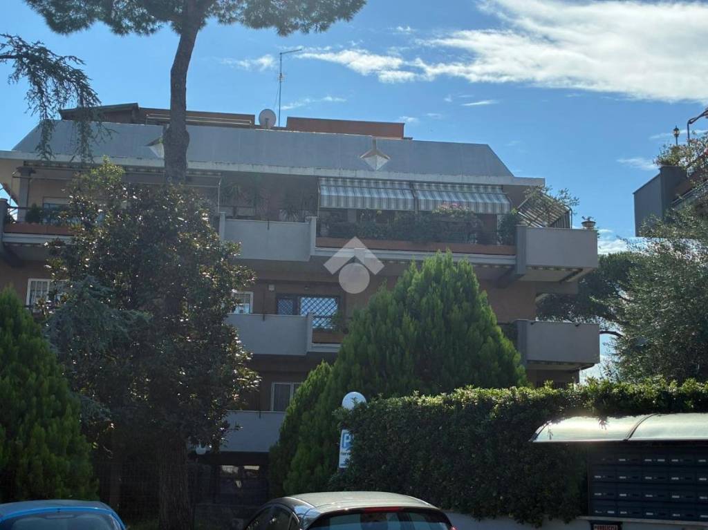 immagine annuncio 2 di 12