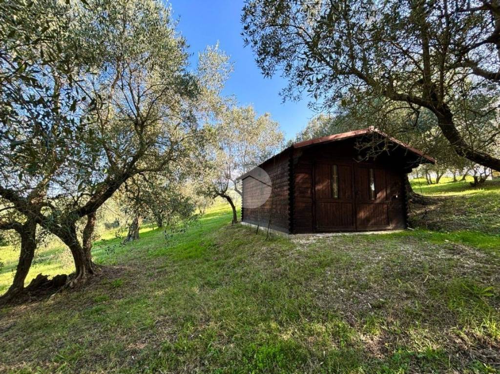 immagine annuncio 9 di 15