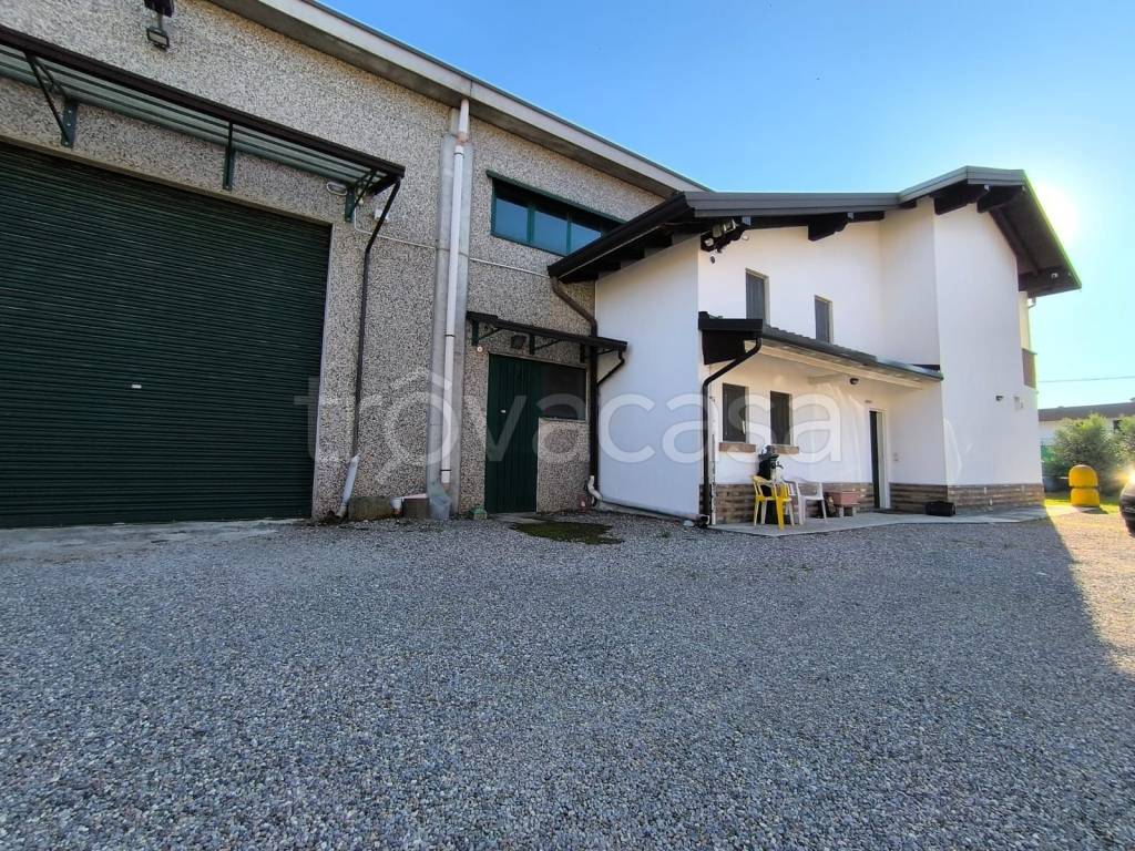 immagine annuncio 9 di 15